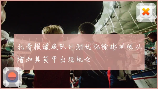 北青报道狼队计划优化徐彬训练以增加其英甲出场机会